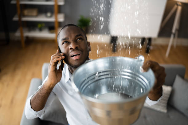 Best Ceiling water damage repair  in Roosevelt Park, MI