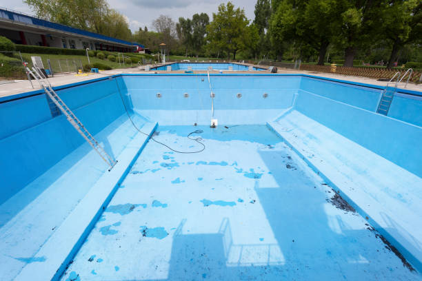 Best Basement water damage restoration  in Roosevelt Park, MI