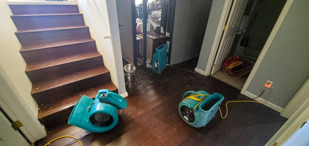Best Water damage restoration mold remediation  in Roosevelt Park, MI
