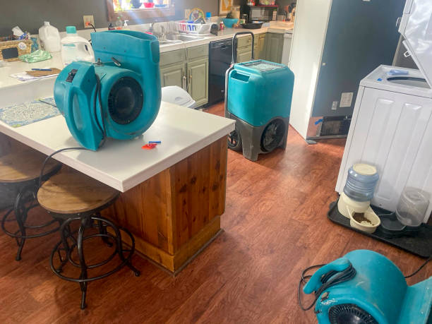 Reliable Roosevelt Park, MI Water damage restoration Solutions