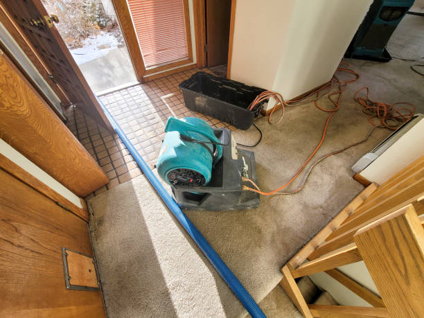 Best Commercial water damage restoration  in Roosevelt Park, MI