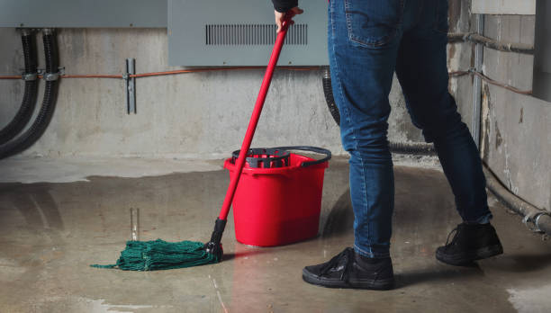 Best Emergency water damage restoration  in Roosevelt Park, MI