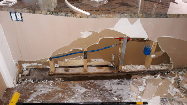 Best 24/7 water damage repair  in Roosevelt Park, MI