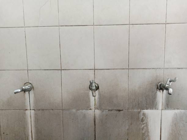 Best Water damage restoration cost  in Roosevelt Park, MI