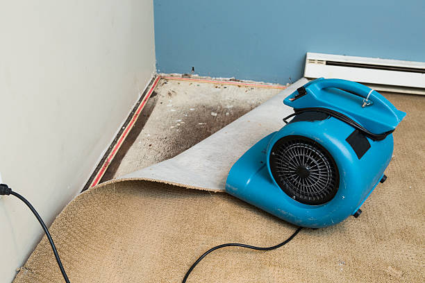  Roosevelt Park, MI Water damage restoration Pros